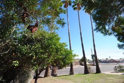 10210 N 15th Ave, Phoenix, AZ 85021 photo 3