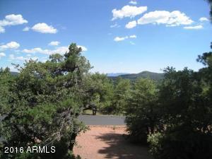 6700 Buffalo Run, Pine, AZ 85544 photo 10
