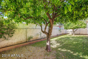 4115 E Becker Ln, Phoenix, AZ 85028 photo 25