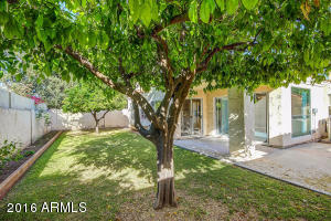 4115 E Becker Ln, Phoenix, AZ 85028 photo 24