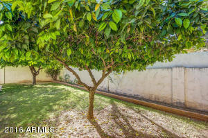 4115 E Becker Ln, Phoenix, AZ 85028 photo 22