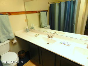 4341 E Corral Rd, Phoenix, AZ 85044 photo 31