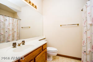 2309 E Pelican Ct, Gilbert, AZ 85234 photo 23