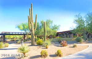 3993 E Robin Ln, Phoenix, AZ 85050 photo 24