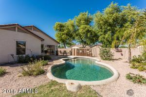 8516 E Desert Ln, Mesa, AZ 85209 photo 18