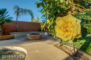 4504 E Reins Rd, Gilbert, AZ 85297 photo 55