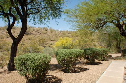 1115 E Ross Ave, Phoenix, AZ 85024 photo 2