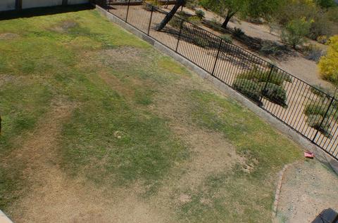 1115 E Ross Ave, Phoenix, AZ 85024 photo 8