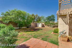 4941 E Colby St, Mesa, AZ 85205 photo 20