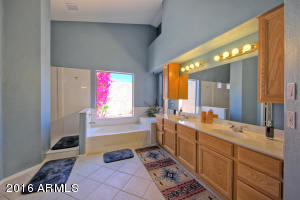 1037 E Knoll St, Mesa, AZ 85203 photo 16