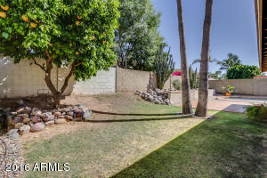 5644 E Fox St, Mesa, AZ 85205 photo 21