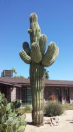 3514 E Hatcher Rd, Phoenix, AZ 85028 photo 7