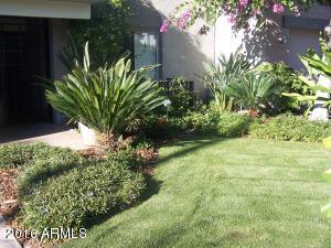 2606 E Osborn Rd, Phoenix, AZ 85016 photo 36