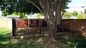 7314 N 7th Ave, Phoenix, AZ 85021 photo 19
