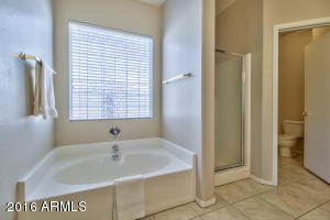10652 E Carol Ave, Mesa, AZ 85208 photo 18