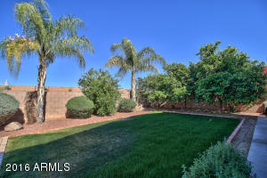 10652 E Carol Ave, Mesa, AZ 85208 photo 34