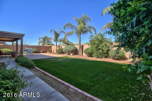 10652 E Carol Ave, Mesa, AZ 85208 photo 33