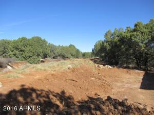 1704 W Davidson Cir, Payson, AZ 85541 photo 13