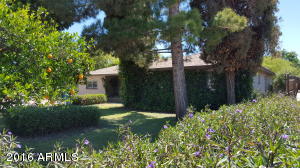 713 E Myrtle Ave, Phoenix, AZ 85020 photo 3