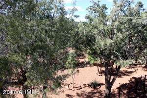 1710 W Point Dr, Payson, AZ 85541 photo 31
