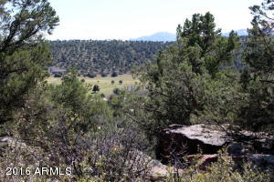 1710 W Point Dr, Payson, AZ 85541 photo 36