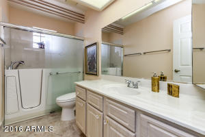 7813 E Lakeview Ave, Mesa, AZ 85209 photo 27