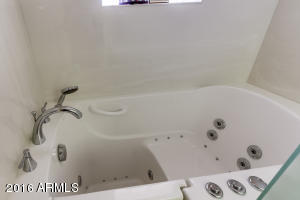 7813 E Lakeview Ave, Mesa, AZ 85209 photo 29