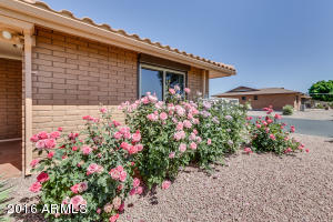 7813 E Lakeview Ave, Mesa, AZ 85209 photo 43