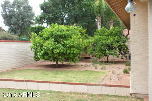 5664 Encanto St, Mesa, AZ 85205 photo 43