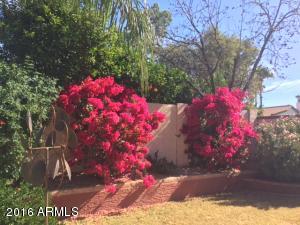 5664 Encanto St, Mesa, AZ 85205 photo 36