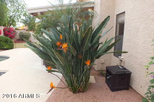 5664 Encanto St, Mesa, AZ 85205 photo 40
