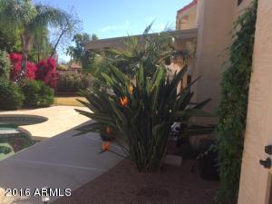 5664 Encanto St, Mesa, AZ 85205 photo 35