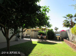 3118 E Topeka Dr, Phoenix, AZ 85050 photo 4
