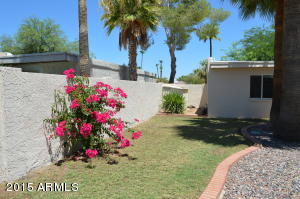 3501 E Cochise Dr, Phoenix, AZ 85028 photo 24