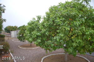 6310 El Paso St, Mesa, AZ 85205 photo 21