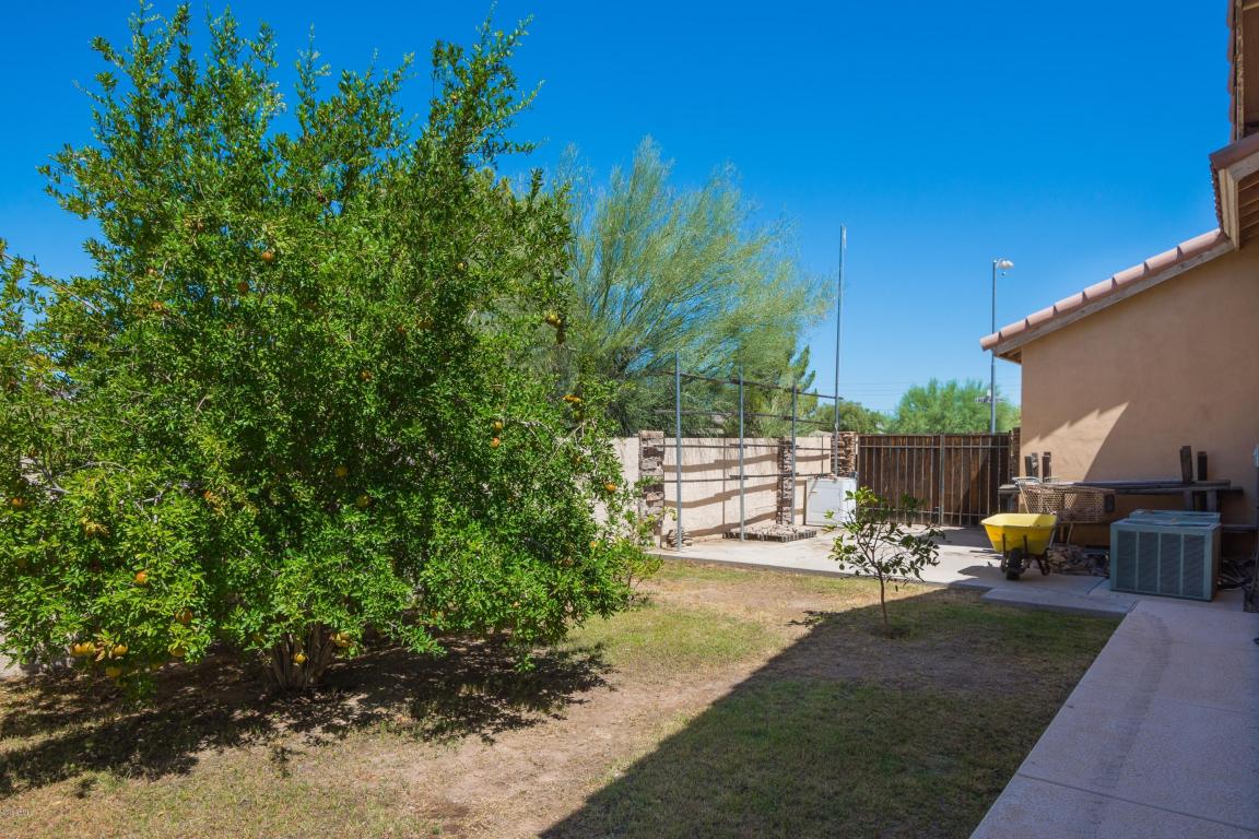 903 E Redfield Rd, Phoenix, AZ 85022 photo 27