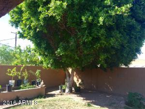 2422 W Freeway Ln, Phoenix, AZ 85021 photo 14