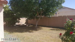 2717 E Carol Ave, Mesa, AZ 85204 photo 6