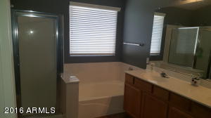 2717 E Carol Ave, Mesa, AZ 85204 photo 25