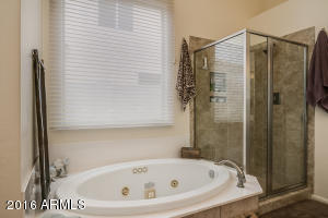7108 E Laguna Azul Ave, Mesa, AZ 85209 photo 29