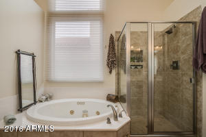 7108 E Laguna Azul Ave, Mesa, AZ 85209 photo 28