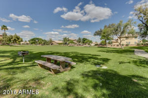 332 E Arabian Dr, Gilbert, AZ 85296 photo 11