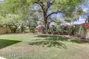 332 E Arabian Dr, Gilbert, AZ 85296 photo 6