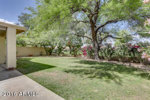 332 E Arabian Dr, Gilbert, AZ 85296 photo 7