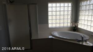 11434 E Sebring Cir, Mesa, AZ 85212 photo 29