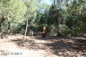 1118 N Tyrolean Dr, Payson, AZ 85541 photo 3