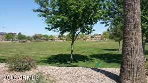 3653 E Sheffield Rd, Gilbert, AZ 85296 photo 17