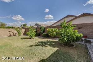 1131 E San Tan Dr, Gilbert, AZ 85296 photo 41