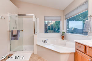 3173 E Desert Willow Rd, Phoenix, AZ 85048 photo 36