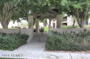1340 N Recker Rd #231, Mesa, AZ 85205 photo 10